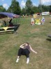 04.JPG