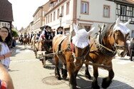 0027_Wissembourg_28.05..JPG